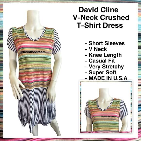 NWT David Cline V-Neck Short Sleeve T-Shirt Dress SZ Small Blue Stripe $119 - Picture 1 of 15